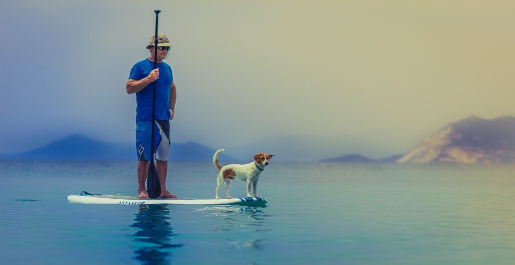 wassersport stand-up-paddeln mit Hund